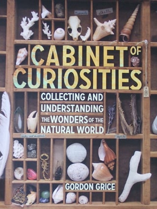 check-out-these-books.jpg