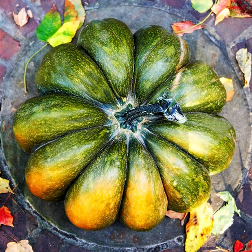 colorful-fairytale-pumpkin.jpg