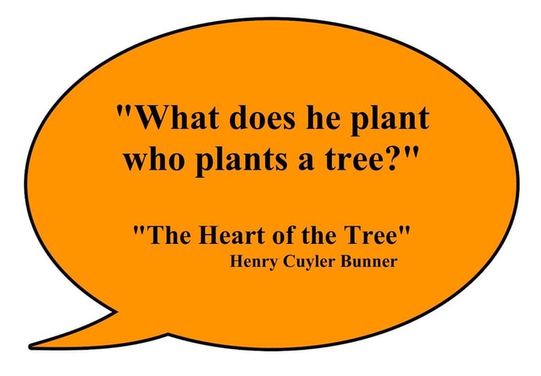 the-heart-of-a-tree.jpg