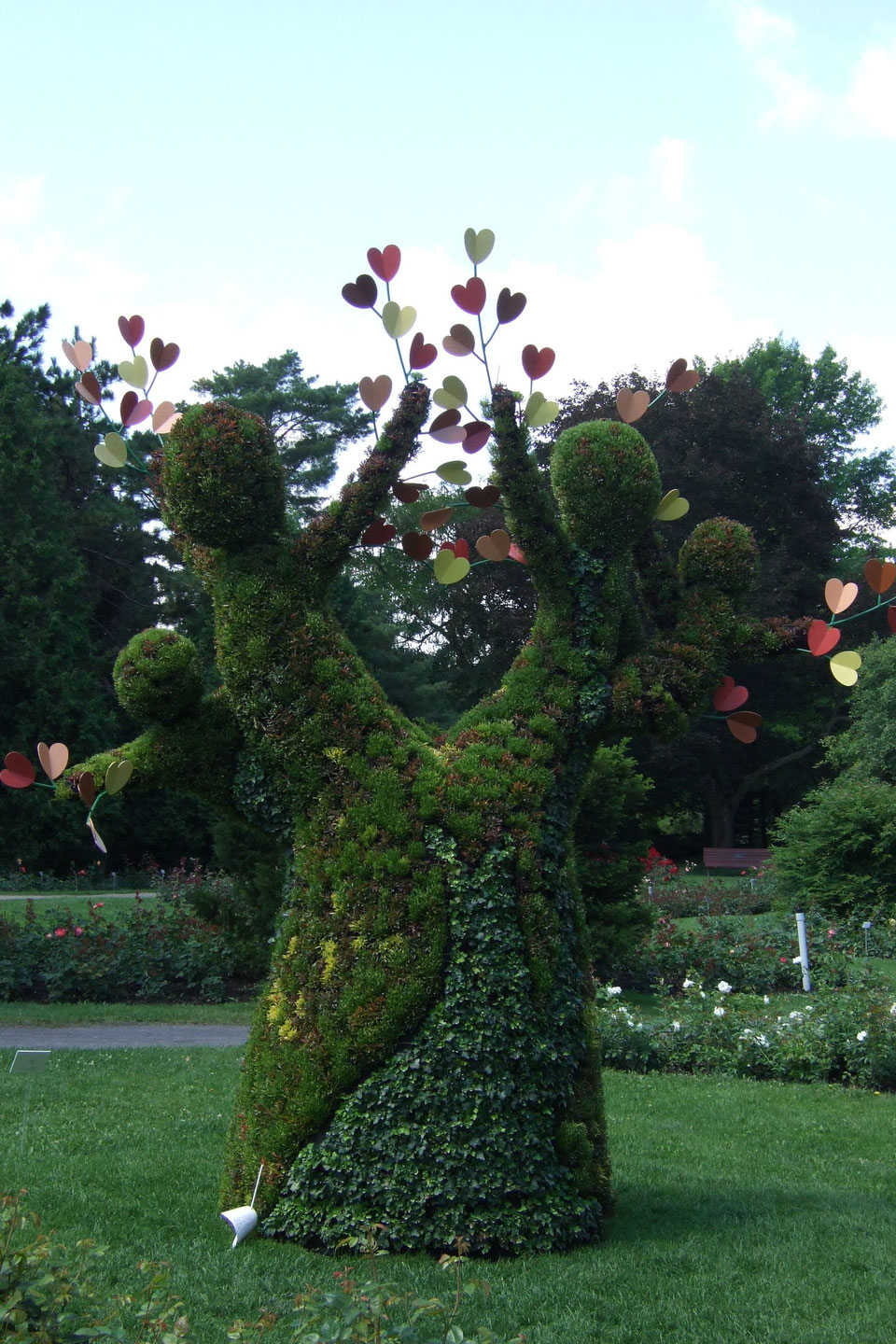 l-arbre-de-la-famille.jpg
