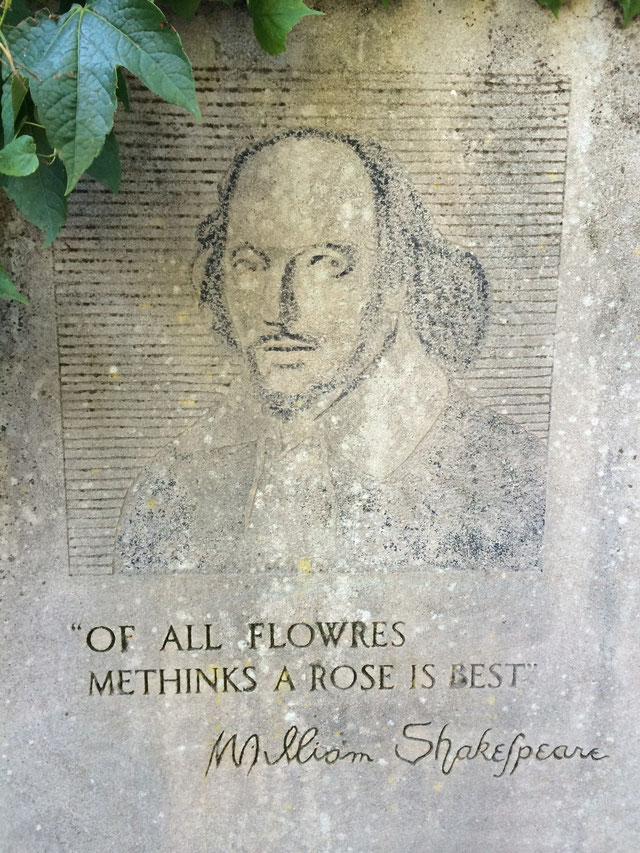 of-all-flowres-metinks-a-rose-is-best-william-shakespeare.jpg