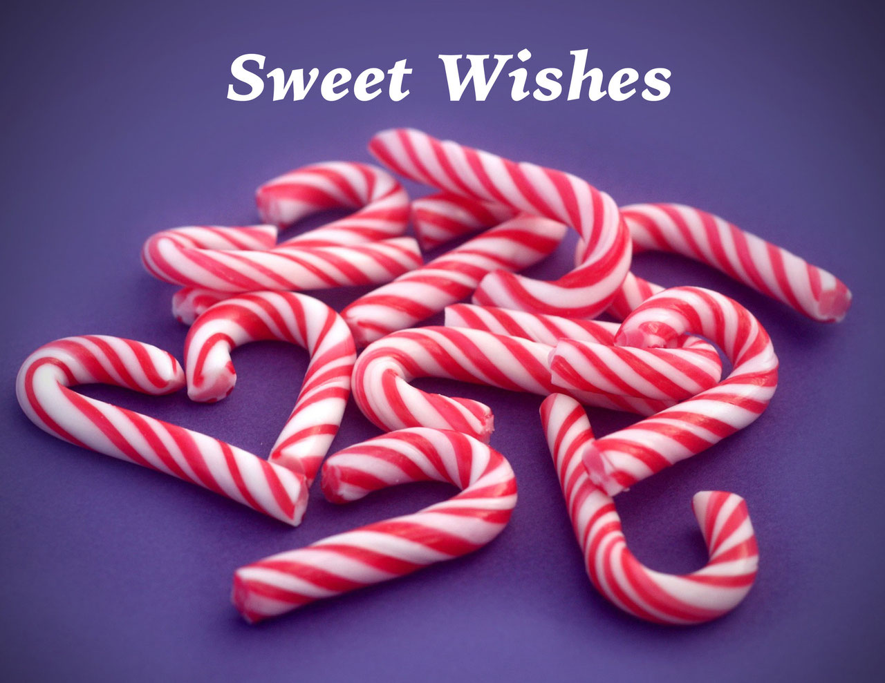 sweet-wishes-for-a-merry-christmas.jpg